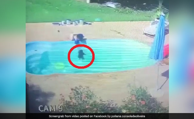 Video: 3-Year-Old Hailed A Hero For Saving His Friend From Drowning
