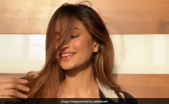 श्वेता तिवारी की बेटी पलक तिवारी की ग्लैमरस Photos हुईं वायरल, इस अंदाज में आईं नजर