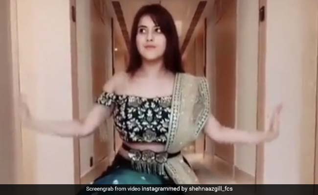 Shehnaaz Gill ने दीपिका पादुकोण के गाने पर किया डांस, पंजाब की कैटरीना कैफ का Video हुआ Viral