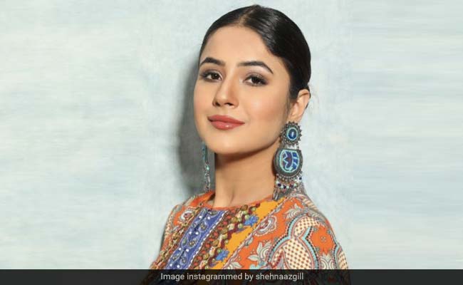 Shehnaaz Gill ने प्रिंटेड एथनिक अवतार में शेयर की अपनी शानदार Photos, कुछ इस अंदाज में आईं नजर