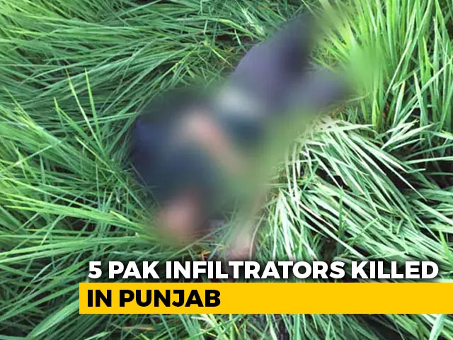 5 Infiltrators Shot Dead By BSF Along The Border With Pakistan In Punjab