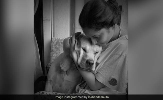 Ankita Lokhande के चेहरे पर नजर आई उदासी, डॉगी संग फोटो शेयर कर लिखा ये मैसेज