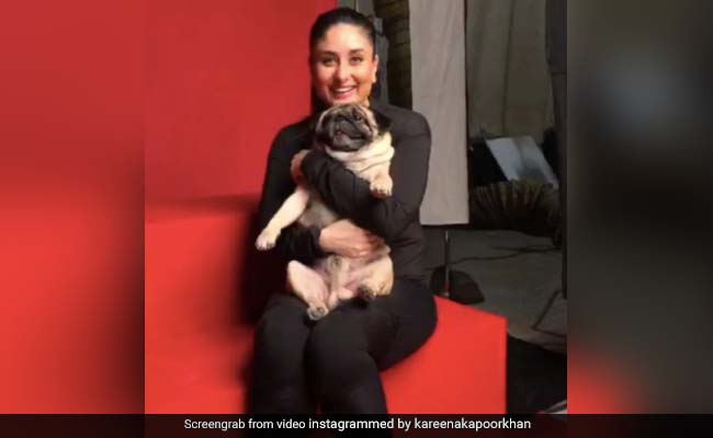 करीना कपूर का शूटिंग के दौरान का Video हुआ वायरल, बोलीं- मेरा फेवरिट को-स्टार...