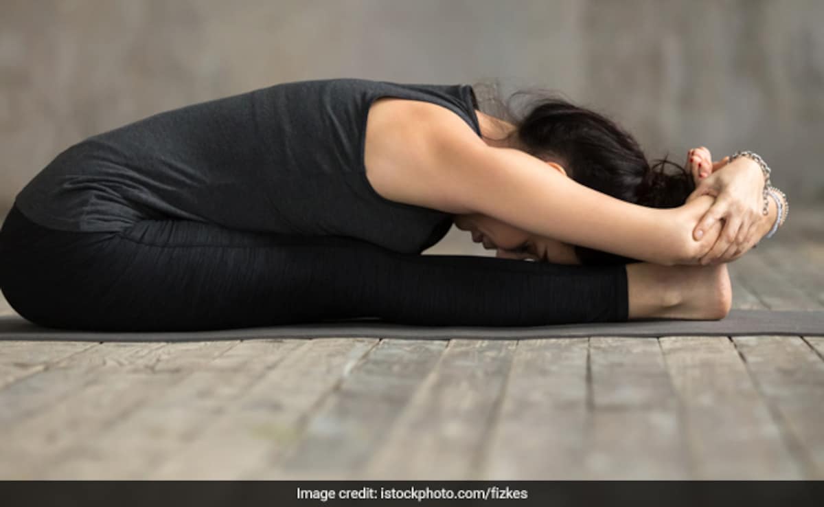 Seated forward bends can open the back of legs and spine Seated forward bends can open the back of legs and spine