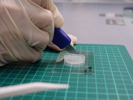 Scientists Inspired By "Star Wars" Create Artificial Skin Able To Feel Scientists Inspired By "Star Wars" Create Artificial Skin Able To Feel