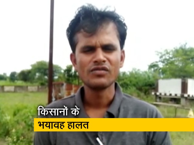 देश प्रदेश : क्यों परेशान हैं मध्य प्रदेश के किसान
