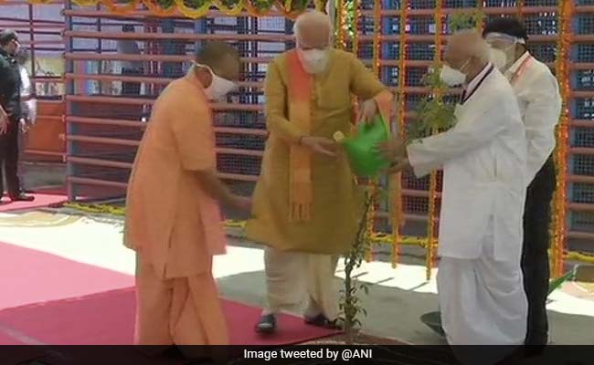 Watch: PM Narendra Modi Plants Parijat Sapling At Ram Temple