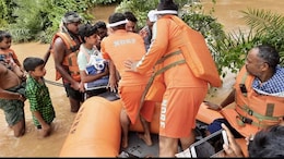 Snakebites, Natural Disasters Claimed 10,300 Lives in Odisha In 3 Years: Minister