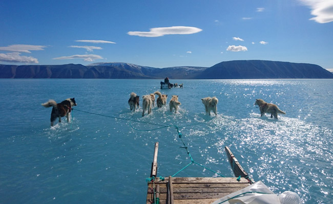 Arctic Sea Ice Melting Faster Than Forecast: Study