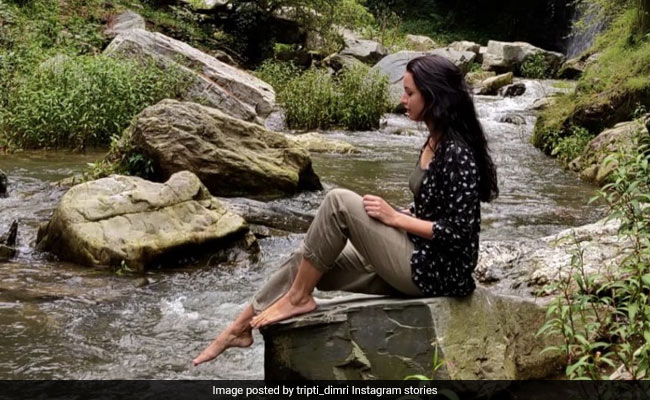 "My Feet Are Normal": <i>Bulbbul</i> Star Tripti Dimri Captions Pic Perfectly