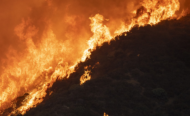 Climate Change Main Cause Of Fires In Western US, Study Shows