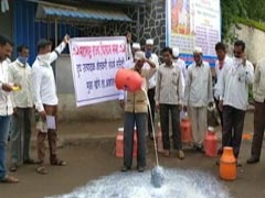 Maharashtra Farmers Spill Milk To Protest Prices, Centre's Import Of Powder