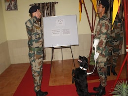 Sniffing Out IEDs To Tracking Terrorists: PM Modi On Role Of Army Dogs Sniffing Out IEDs To Tracking Terrorists: PM Modi On Role Of Army Dogs