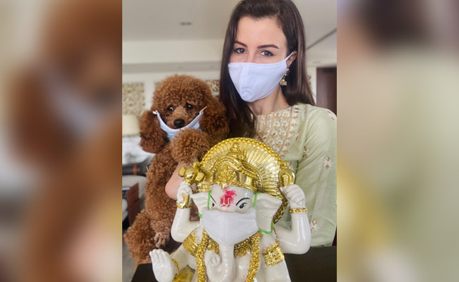 गणेश चतुर्थी 2020 : जॉर्जिया एंड्रियानी की COVID-19 थीम बी-टाउन में मचाई धूम !