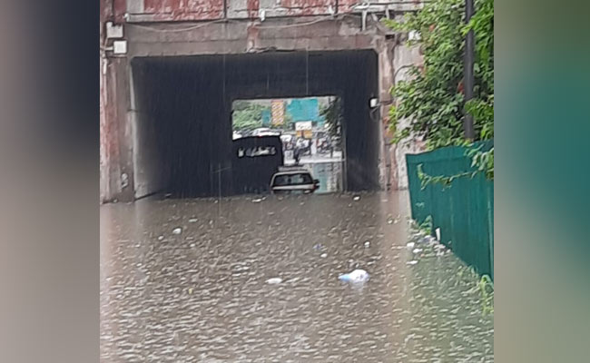 Heavy Rain Uproots Trees, Leads To Waterlogging Across Delhi: Official Report