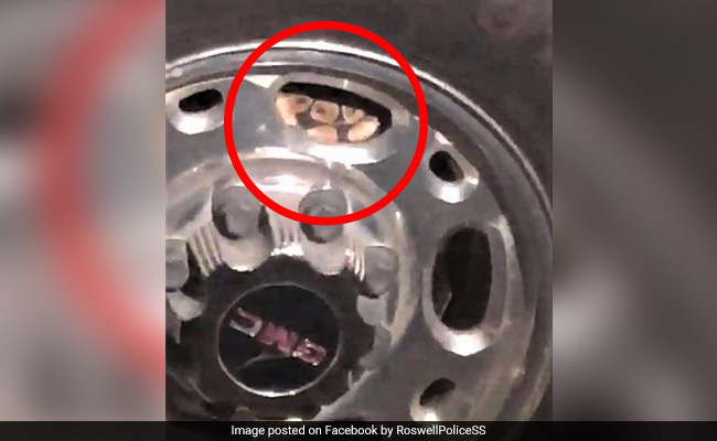 कार के टायर में छिपा बैठा था अजगर, देखते ही चीखने लगी महिला - देखें Viral Photos