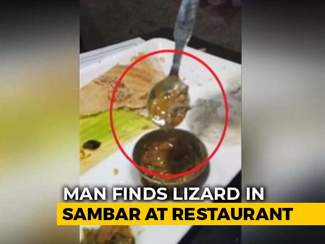"Half Of It Missing": Man Finds Lizard In Sambhar At Top Delhi Restaurant