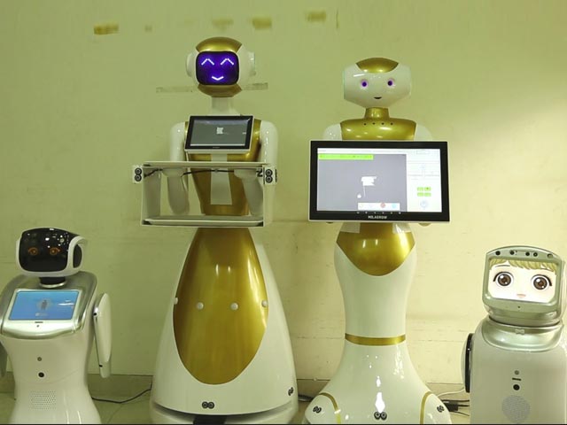 Milagrow's Humanoids