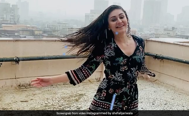 Shefali Jariwala ने दिखाया खूबसूरत अंदाज, घर की छत पर मुंबई की बारिश में झूमती आईं नजर- देखें Video