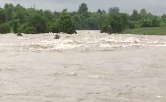 Watch: Madhya Pradesh Man Who Spent A Day On Tree Amid Floods Airlifted Watch: Madhya Pradesh Man Who Spent A Day On Tree Amid Floods Airlifted