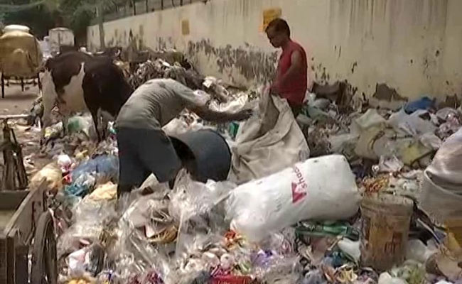 Delhi Civic Body Staff Can't Do ''<i>Gundagardi</i>'' In Name Of Protest: Court