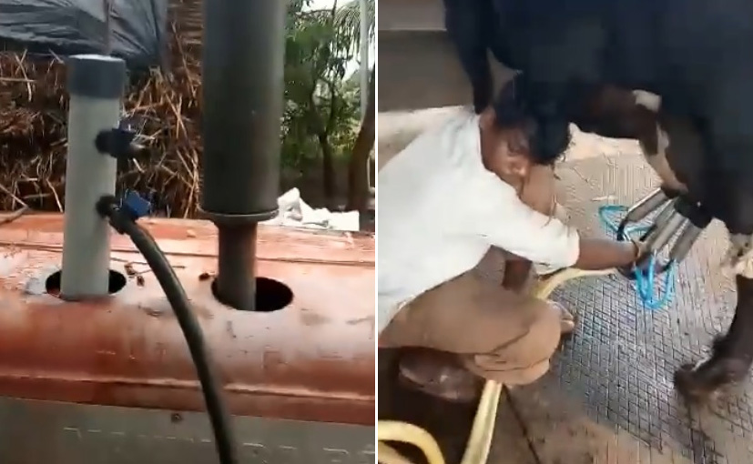 Innovative Use Of Tractor To Milk Cows Wins Anand Mahindra's Praise