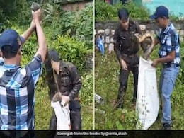 शख्स ने पकड़ा King Cobra का मुंह और दूसरा डालने लगा बोरे में, तभी हुआ कुछ ऐसा... देखें Video शख्स ने पकड़ा King Cobra का मुंह और दूसरा डालने लगा बोरे में, तभी हुआ कुछ ऐसा... देखें Video