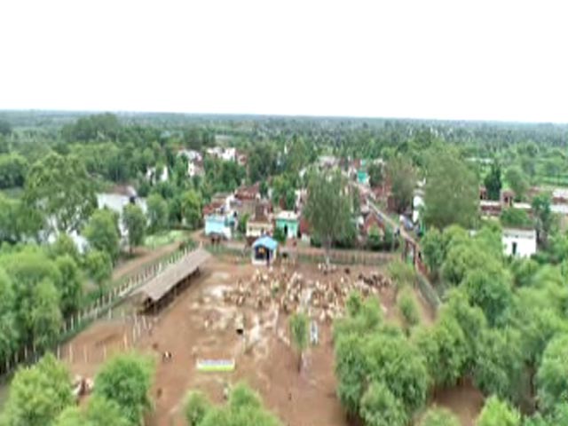 Draft Environmental Impact Assessment Waters Down Protection: Environmentalists