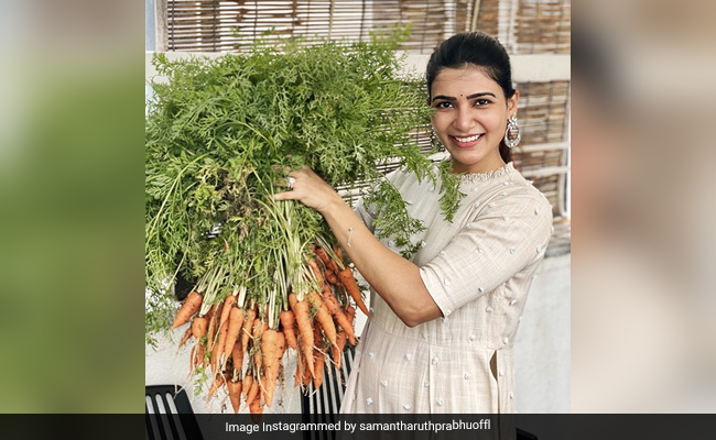 Samantha Ruth Prabhu's Menu For The Week Will Feature This Veg From Her Garden