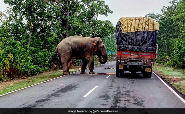 7 Funny Tweets To Ensure You Start The Day With A Good Laugh