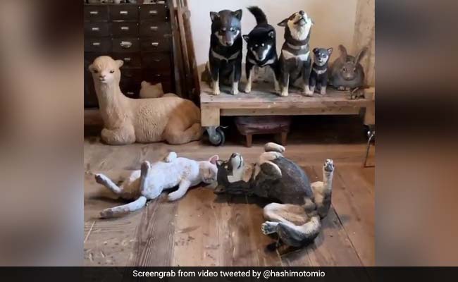 Viral Video: Can You Spot The Real Dog Among Life-Size Wooden Replicas?