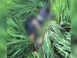 पंजाब : पाकिस्तान से सटी सीमा के पास 5 घुसपैठियों को BSF ने किया ढेर पंजाब : पाकिस्तान से सटी सीमा के पास 5 घुसपैठियों को BSF ने किया ढेर