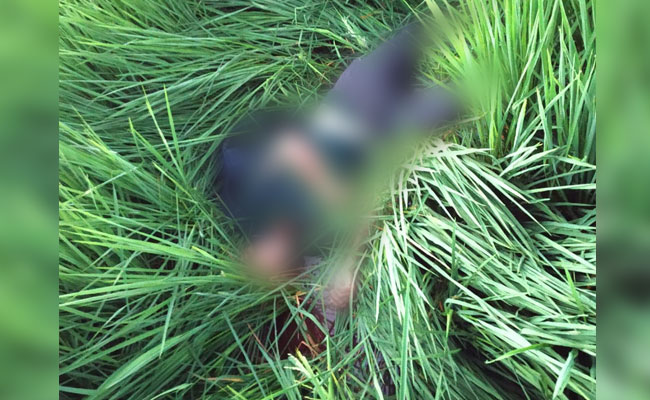 পঞ্জাব-পাক সীমান্তে ৫ অনুপ্রবেশকারীকে গুলি করে মারলো বিএসএফ