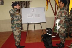 Sniffing Out IEDs To Tracking Terrorists: PM Modi On Role Of Army Dogs Sniffing Out IEDs To Tracking Terrorists: PM Modi On Role Of Army Dogs