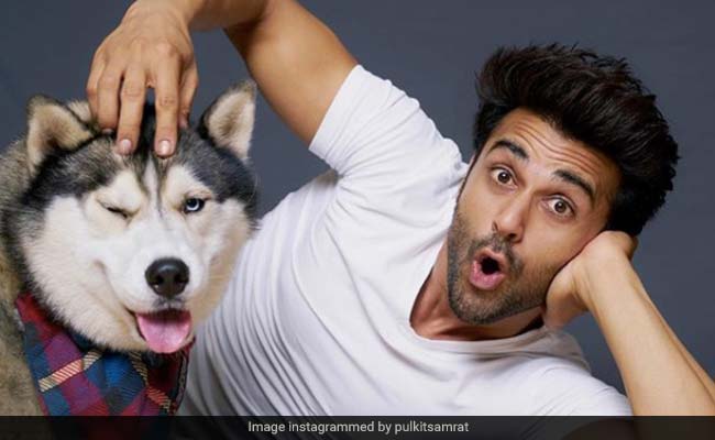 International Dog Day: These Doggy Posts Are Pawsitively Adorable International Dog Day: These Doggy Posts Are Pawsitively Adorable