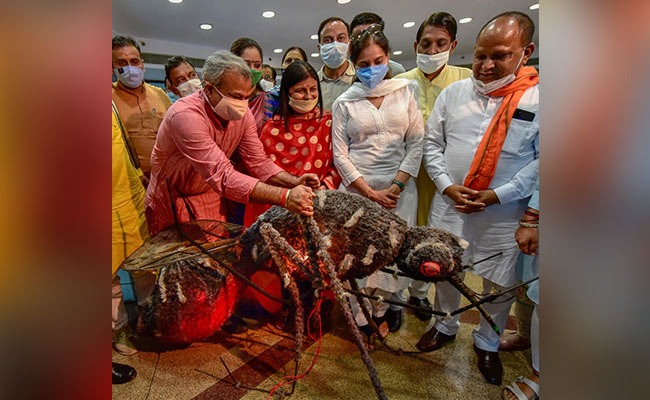 Delhi Civic Bodies Launch Campaign Against Dengue, Chikungunya, Malaria
