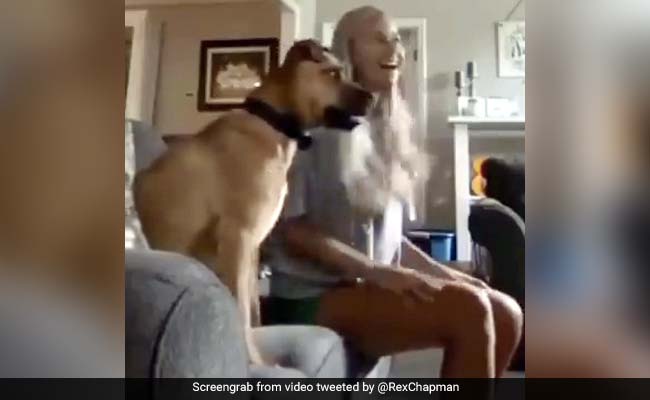 टीवी पर मैच देख रहा था कुत्ता, खुशी से हवा में उछला और गिर गया नीचे... देखें Viral Video