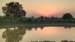 7 Deaths In Haryana Village Amid Water Contamination Reports: Viral Hepatitis Symptoms, Prevention Explained