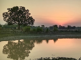 7 Deaths In Haryana Village Amid Water Contamination Reports: Viral Hepatitis Symptoms, Prevention Explained