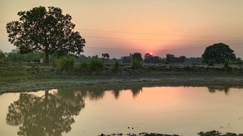 7 Deaths In Haryana Village Amid Water Contamination Reports: Viral Hepatitis Symptoms, Prevention Explained