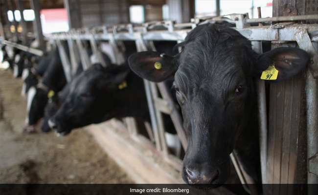 Opinion: Indian Negotiators Must Strike Before The US Vote