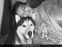 Look Who Joined Pulkit Samrat And Kriti Kharbanda On Their "Date Night" Look Who Joined Pulkit Samrat And Kriti Kharbanda On Their "Date Night"