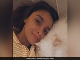 Pic: The One With Alia Bhatt And Her Furry Friend Edward Pic: The One With Alia Bhatt And Her Furry Friend Edward
