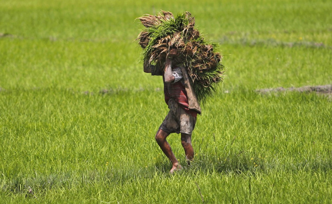 "Will Try Not To Implement Farm Bills In Maharashtra": Congress, NCP