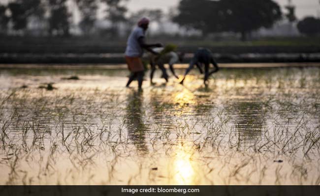 August Rain Holds Key To Recovery In Rural Economy After Erratic Monsoon