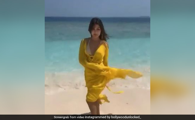 रिया चक्रवर्ती साल 2021 की शुरुआत में कर सकती हैं वापसी, निर्देशक रूमी जाफरी ने किया खुलासा