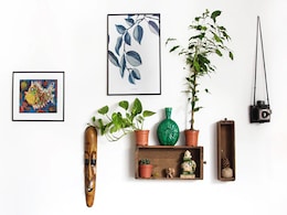 Amazon Freedom Sale: Upto 60% Off On Decorative Home Items Amazon Freedom Sale: Upto 60% Off On Decorative Home Items