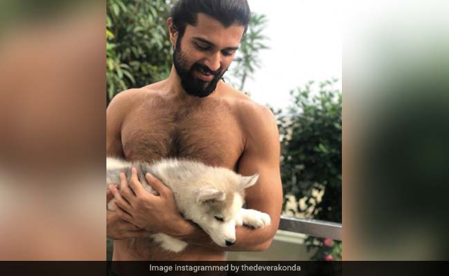 Pic Of Shirtless Vijay Deverakonda And His "Cute Beast" Sends Instagram Into Meltdown