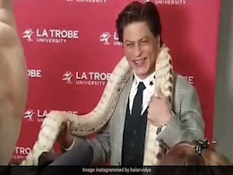 शाहरुख खान ने असली अजगर को कंधे पर रखकर खिंचवाई Photos, एक्टर ने यूं दिये जबरदस्त एक्सप्रेशंस शाहरुख खान ने असली अजगर को कंधे पर रखकर खिंचवाई Photos, एक्टर ने यूं दिये जबरदस्त एक्सप्रेशंस