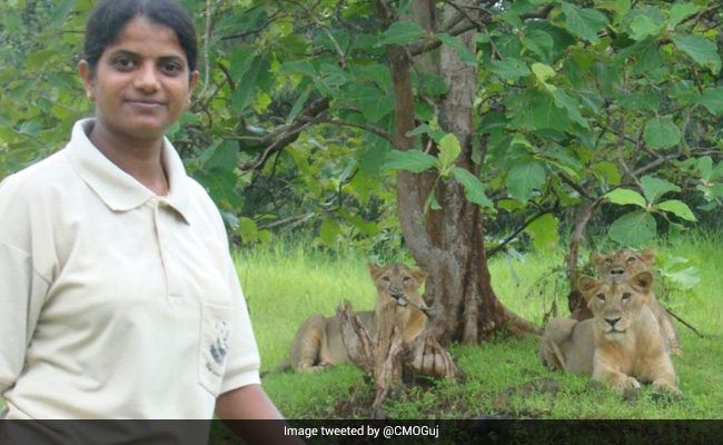 World Lion Day: Meet Rasila Vadher, The Lion Queen Of Gir